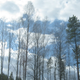 Illustration for article titled COTD: Norwegian Would Edition